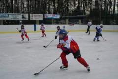 hokej_20141213_1990782937