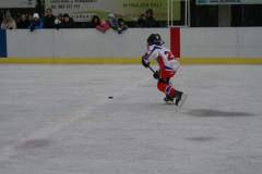 hokej_20141213_2006620296