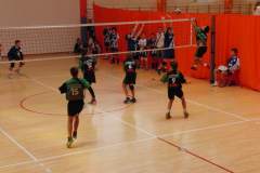 siatkowka_20140915_1061105573