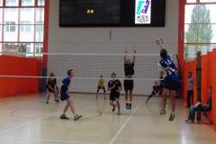 siatkowka_20140915_1654889300