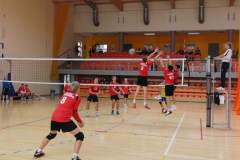 siatkowka_20140915_1746556964