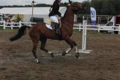 zawody_konne_20130717_1453481562