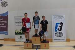 badminton_20161121_1673985271