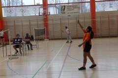 badminton_20161121_1772812093