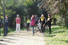 rowery_20141006_1457826679