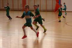 pika_nona_20171209_1031622561