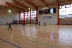 pika_nona_20171209_1126195550