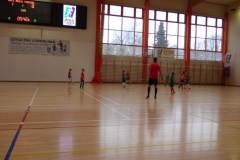 pika_nona_20171209_1177440753