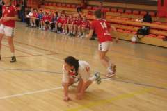 mecz_midzypastwowy_polska_-_austria_6_20130508_1323929561