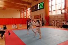 karate_20150330_1102807665