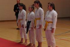 karate_20150330_1170271076