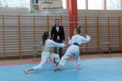 karate_20150330_1185594126