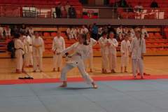 karate_20150330_1329079128
