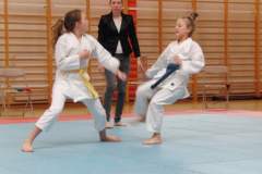 karate_20150330_1472235736