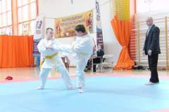 karate_20150330_1607166063