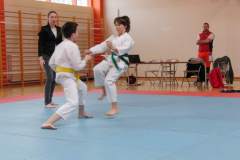 karate_20150330_1657841463