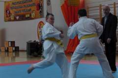 karate_20150330_1660930369