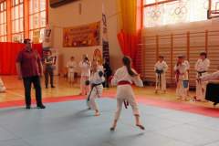 karate_20150330_1792686473