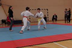 karate_20150330_1867807136