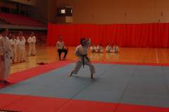 karate_20150330_2015175505