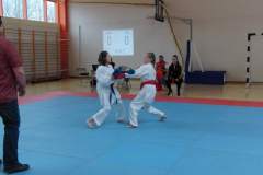 karate_20150330_2027849504
