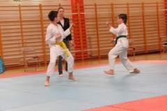 karate_20150330_2059906193