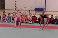 mikoajkowe_zawody_w_akrobatyce_sportowej_14_20130508_1707636986