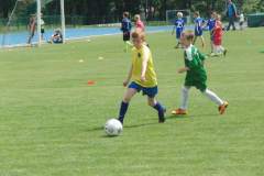 pika_nona_20160606_1220771225