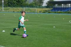 mlm2019_20190615_1480740050