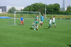 mlm2019_20190615_1794224710
