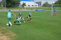 mlm2019_20190615_2062741394