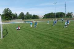 pika_nona_20150601_1072151658