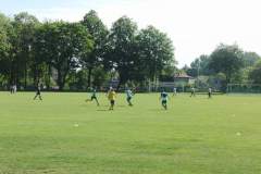 pika_nona_20150601_1288260635