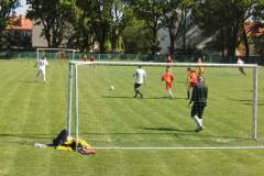 pika_nona_20150601_1303932881