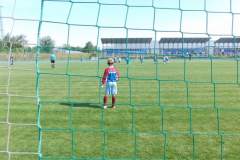 pika_nona_20150601_1408400178
