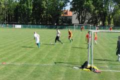 pika_nona_20150601_1454294765