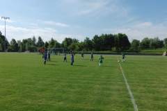 pika_nona_20150601_1515032138