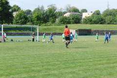 pika_nona_20150601_1851107860