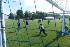 pika_nona_20150601_1941129416
