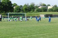 pika_nona_20150601_1980954960