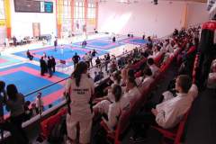 mistrzostwa_polski_karate_13_20130508_2023330355