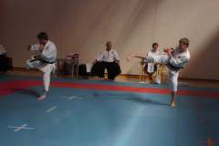 mistrzostwa_polski_karate_14_20130508_2071146769