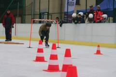 mistrzowie_biaego_orlika_41_20130509_1196832570