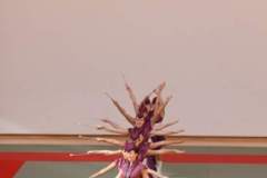 otwarcie_hali_sportowej_mosir_17_20130508_2035824315