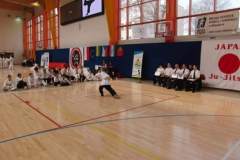 otwarte_mistrzostwa_polski_kong_sao_10_20130508_1632971059