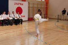 otwarte_mistrzostwa_polski_kong_sao_20_20130508_1564798894