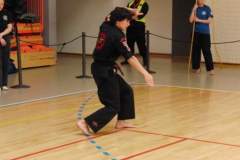 otwarte_mistrzostwa_polski_kong_sao_21_20130508_2078481641