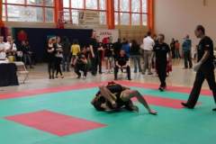 otwarte_mistrzostwa_polski_kong_sao_27_20130508_1606148921