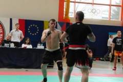 otwarte_mistrzostwa_polski_kong_sao_2_20130508_1853429435