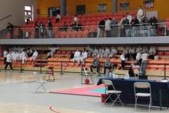 otwarte_mistrzostwa_polski_kong_sao_37_20130508_1738536836